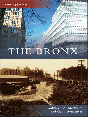 cover image of The Bronx